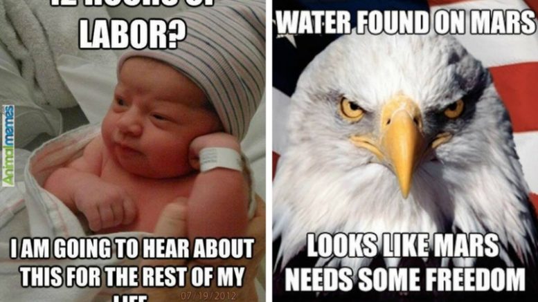 55 Powerful Memes About Life Every Mom Should Read