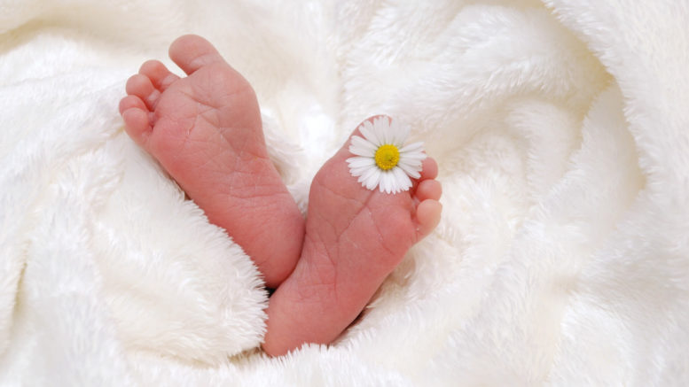 caring for a newborn - newborn's feet in white blanket