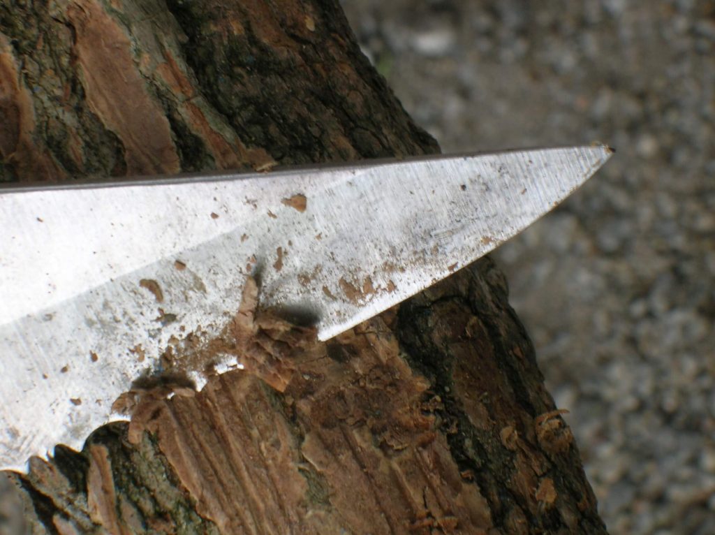 How to Cut Wood Without a Saw and Which Tools to Use